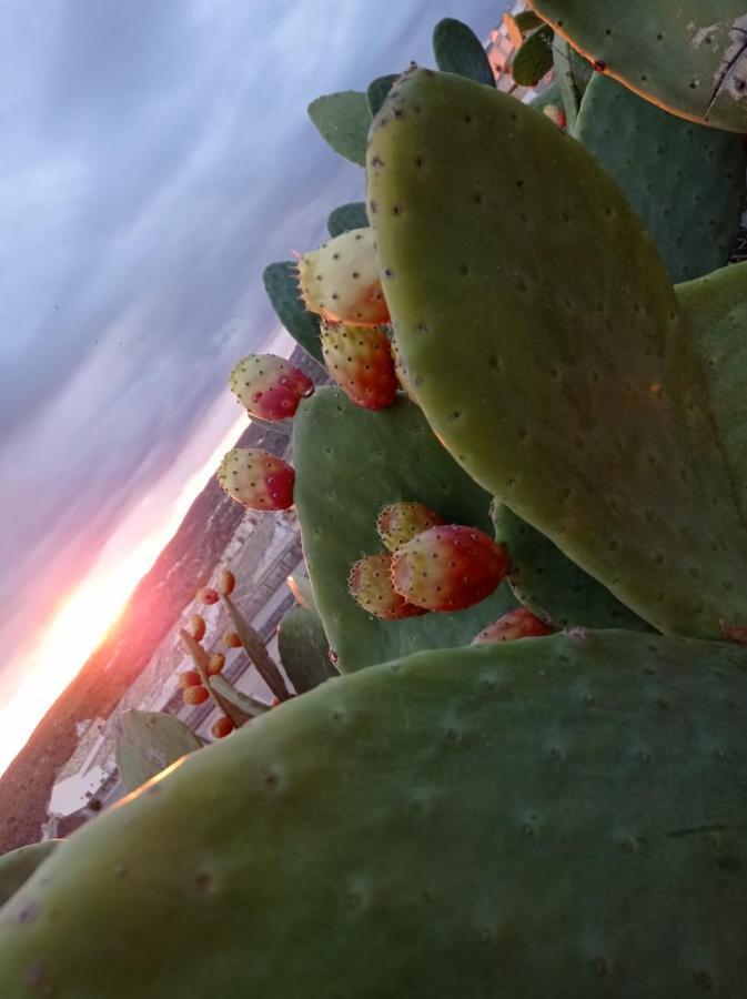 Trigona Garden Suite Noto Bagian luar foto