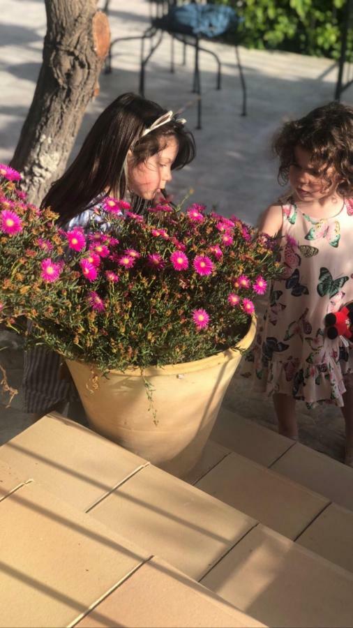 Trigona Garden Suite Noto Bagian luar foto