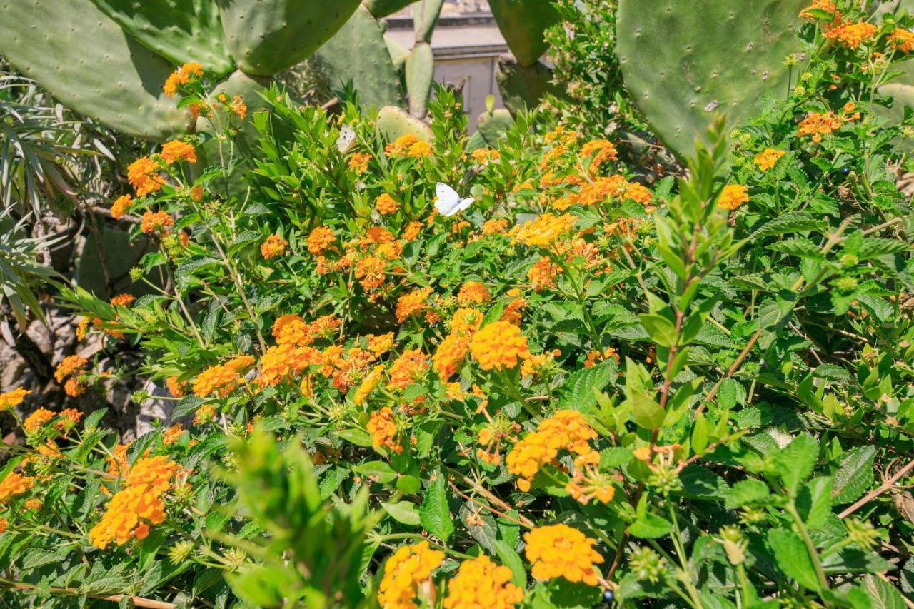 Trigona Garden Suite Noto Bagian luar foto